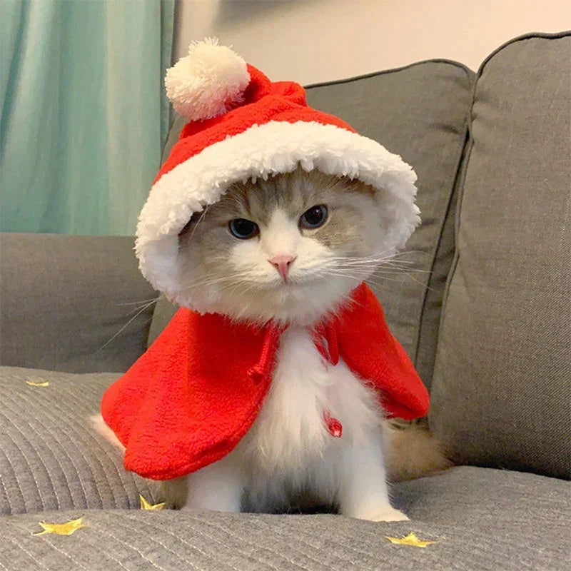Christmas Santa and Reindeer Pet Cape