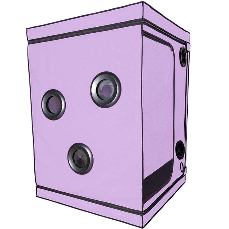 SECRET DOME - KINK CLUB CABIN SCANDALE PURPLE