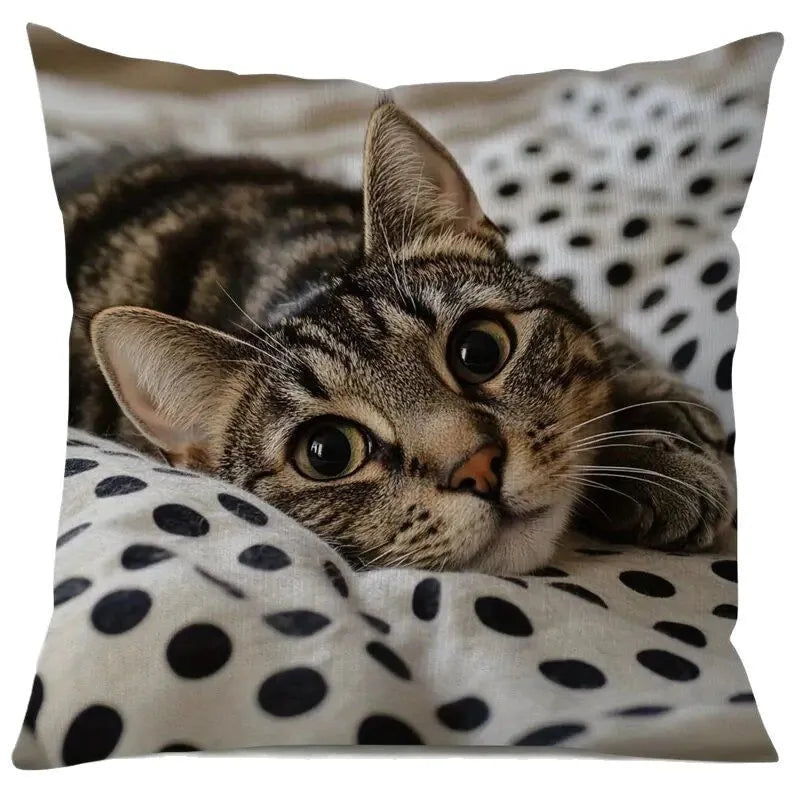 product/2025/10/22/1980842113285361664.jpg