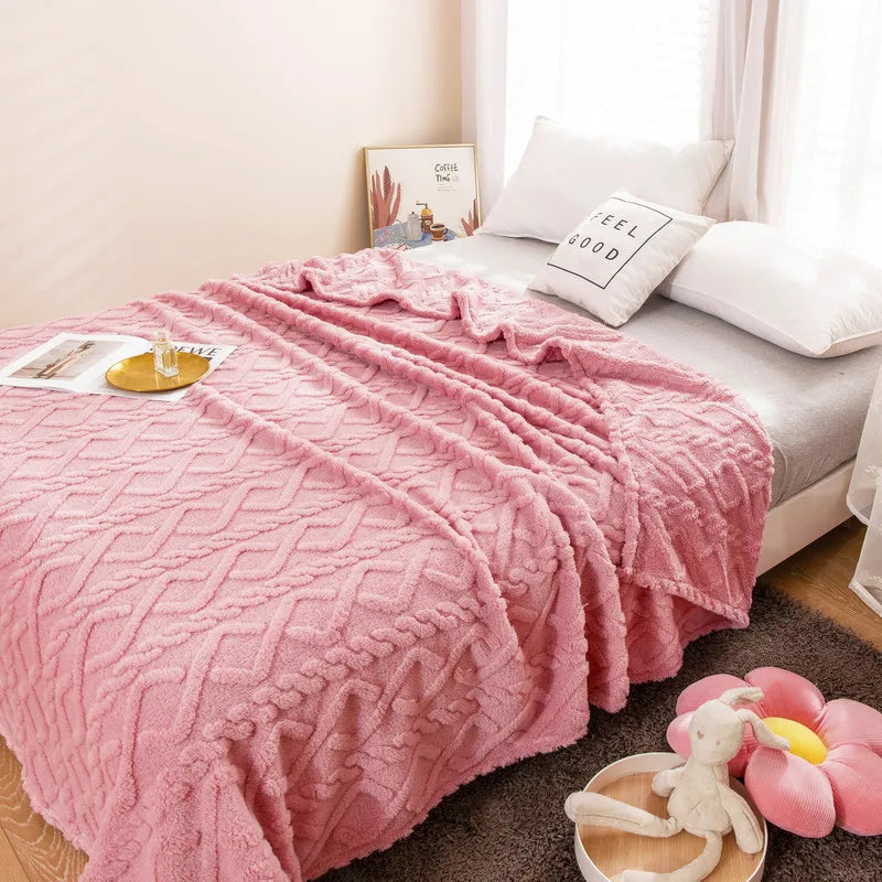 Simple Solid Color Four Seasons Warm Taff Fleece Lamb Fleece Blanket Thickened Spring and Summer Nap Blanket Blanket Blanket