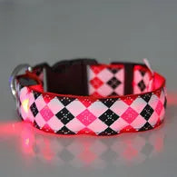 product/2024/1/12/1745695506996269056.jpg