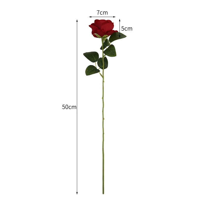 product/2024/12/31/1874055867767328768.jpg