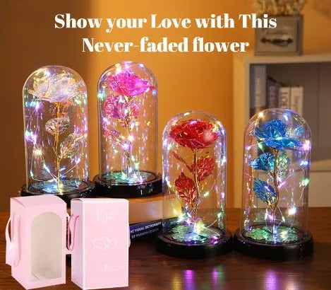 product/2023/11/24/1727882909081276416.jpg