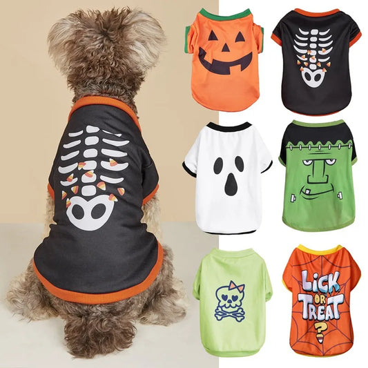 product/2025/8/18/1957351207072829440.jpg